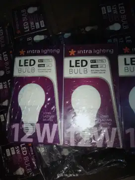 Lampu LED 12watt