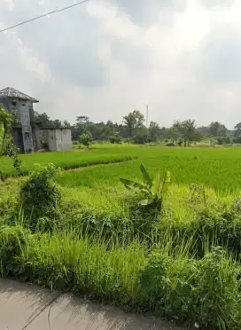Di jual tanah 1,2 Hektar berikut sawah bonus rumah