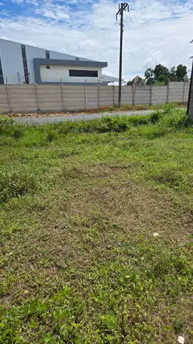 TANAH DI PEKALONGAN LAMPUNG TIMUR