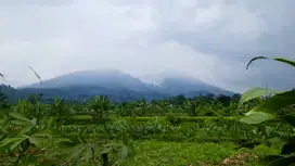 DIJUAL TANAH DI KAKI GUNUNG SALAK CIJERUK, COCOK UNTUK VILLA & USAHA