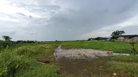 Jual Tanah Marunda, Harga jauh dibawah NJOP, Dekat Exit Tol Cibitung
