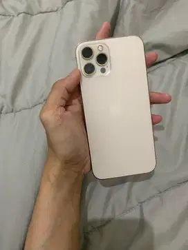 iphone 12 pro max 512 gb ex garansi resmi (Bea cukai)