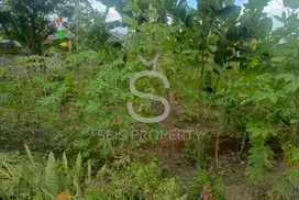 DIJUAL TANAH AKSES JALAN LEBAR DI CLUSTER PURI KENCANA RESIDENCE