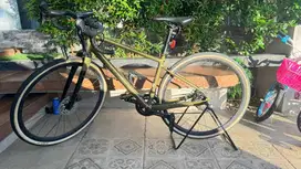 Sepeda Polygon Path X5 Green