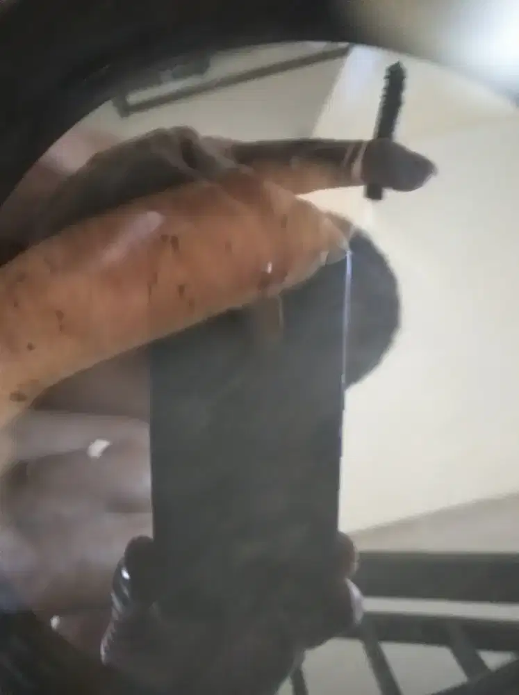 Electric Catfish 14 cm Lele Listrik
