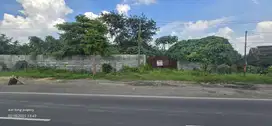 Sidoarjo. Bypass krian. Lahan industri. Nol jalan
