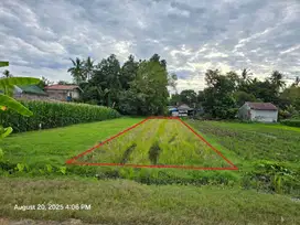 Dijual Tanah Sawah Lokasi Strategis