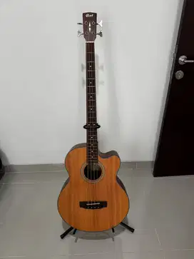 Bass Akustik Bass Cort SJB5F Electric Bass Acoustic