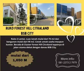 DJUAL Ruko 2LT BSB Dkt Danau & Golf Black Eagle Cluster Forest Hill