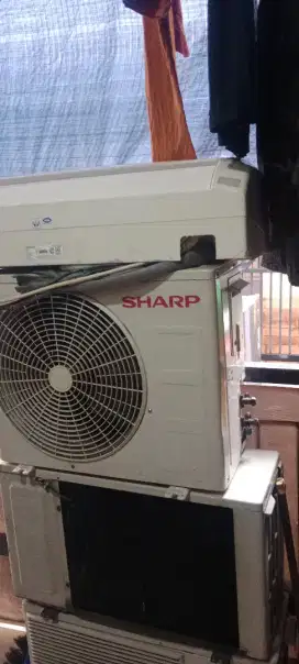 Ac sharp 1/2 pk