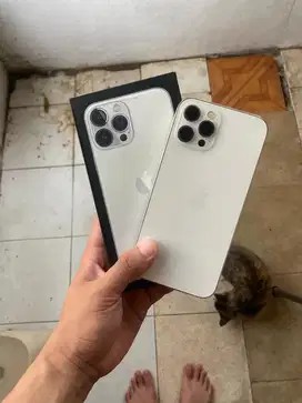 iPhone 12 PRO MAX 256 inter