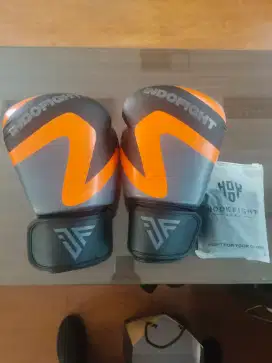 Gloves Boxing / Muaythai