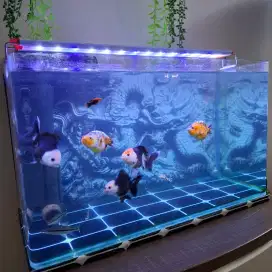 AQUARIUM SET MERK LEPET (60×30×35) + IKAN