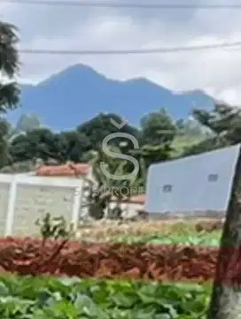 DIJUAL TANAH COCOK UNTUK RUMAH DI CIHIDEUNG PARONGPONG KAB BDG.