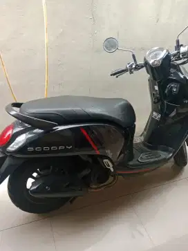 Hond Scoopy 2021