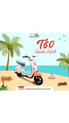 Sepeda listrik T60