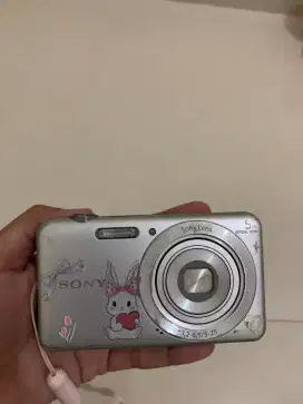 SONY CYBERSHOOT DSC W710 DIGITAL CAMERA