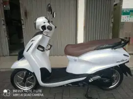 Yamaha grand filano 2023
