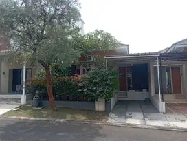 Semi furniture rumah ivy park citraland bsb