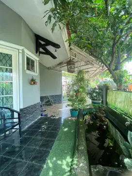 Jual Rumah Asri di Griya Cipeucang Indah Cileungsi.