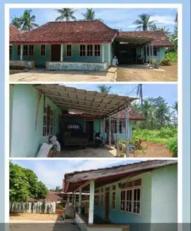 DIJUAL CEPAT RUMAH DAN SAWAH
