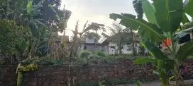 Dijual Tanah SHM