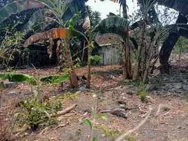 TANAH MURAH SHM DI PUSAT KOTA JOGJA TEPI JALAN BESAR