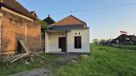 RUMAH MINIMALIS TENGAH KOTA JEMBRANA DI LOLOAN TIMUR