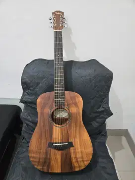 Baby Taylor Akustik