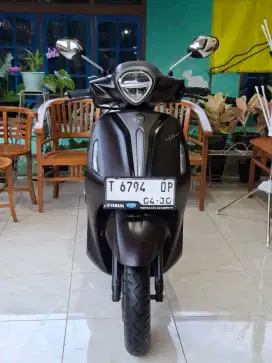 Grand Filano Lux Hybrid 2025