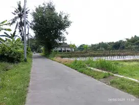 Tanah strategis murah dekat Suciati Sleman