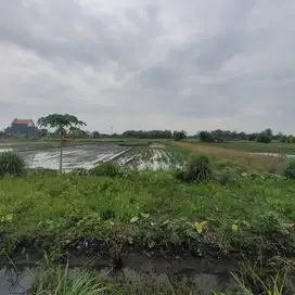 TANAH DIJUAL di 0 jalan Lokasi di Sedati Cocok untuk Gudang Kos dll