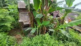 JUAL CEPAT Tanah Plus Bangunan di Sendangguwo