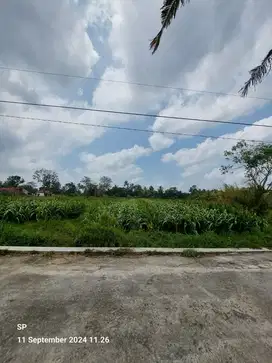 TANAH CANTIK STRATEGIS - SUBUR BANGET AREA KULINERAN DI PAKEM SLEMAN