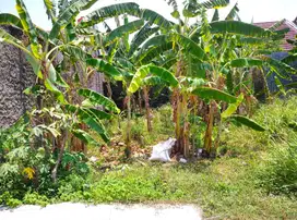 DIJUAL TANAH KAVLING LOKASI TOHUDAN COLOMADU