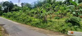 Tanah murah pinggir jalan aspal di kerjo karangayar
