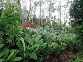 Dijual Tanah di Selopanggung Semen Kediri