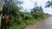 Dijual Tanah Residensial Duren Seribu Murah
