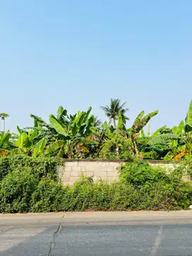 Dijual Tanah di Rajeg Pasar Kemis Tangerang