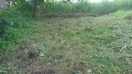 Tanah kavling siap bangun view gunung lawu