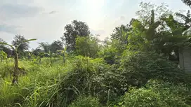 Dijual Kavling di Balaraja Barat LT. 5.000m2 Lokasi Pinggir Jalan