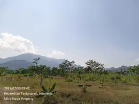 TANAH VIEW BAGUS DI Jl TRANSYOGI SIRNARASA TANJUNGSARI BOGOR