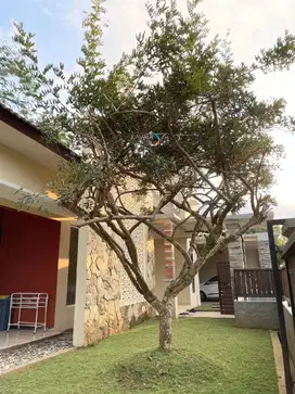 Rumah cantik asri murah strategis furnish plus elektronik tidar malang