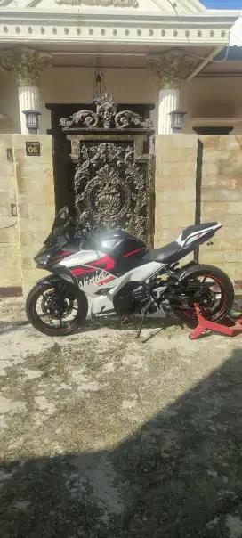 Ninja 250 fi kyles abs