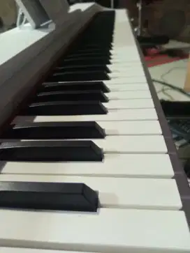 Digital Piano 88 Tuts Merk Wolfstorm