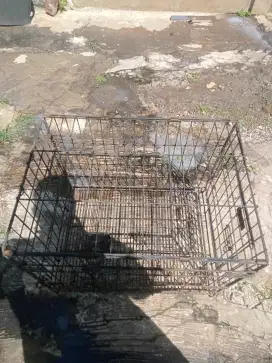Bekas kandang kucing