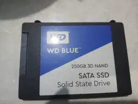 WD BLUE 250GB 3D NAND SATA SSD