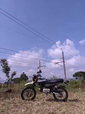 Honda win Semi Trail