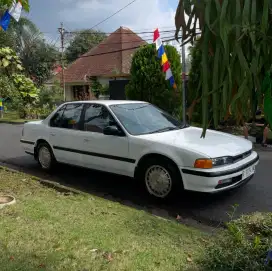 honda maestro 1991