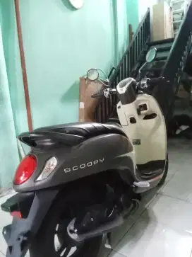 Honda Scoppy 2023